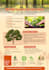 design  professional customized and modern infographic