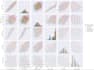 do data cleaning and wrangling, analysis and visualisation