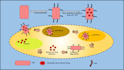 do scientific illustration and graphical abstract for journal publication