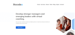create a professional responsive wordpress blog