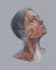 create detailed, accurate 2d digital medical illustrations