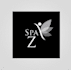 design appealing and thrilling spa logo