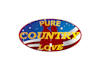 design amazing professional pure love logo