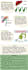 design stunning and professional infographic for you