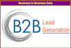 provide b2b business lead generation data
