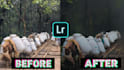 do photo editing in lightroom