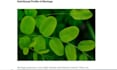 supply blog posts website articles and guest posts
