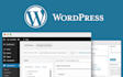 create outstanding wordpress website or design