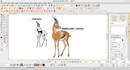 be digitize image for embroidery