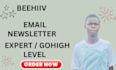 brevo beehiiv assistant, gohighlevel virtual assistant, sales funnel expert