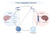 create medical and scientific illustrations, figures, pathways, flowcharts