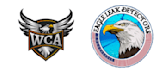 do modern eagle,gambling,mosque  logo design with copyrights