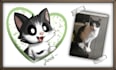 draw your pet in a cartoon style