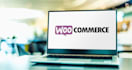 develop woocommerce with payment gateway integration