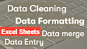 provide data cleaning and formatting with accuracy in excel