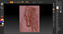 sculpt printable coin 3dmodel, bas relief medallion