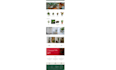 build shopify store and website