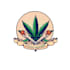 do modern cannabis weed marijuana hemp cbd oil logo or any minimalist design