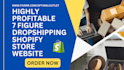 setup 7 figure shopify dropshipping store ecommerce shopify manger website