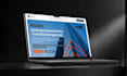 do the full business website development