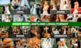 create custom lightroom presets