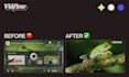 implement a fast and clean youtube video embed