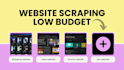 do web scraping of any site, in low budget