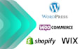 develop professional wordpress website for small business at cheap price