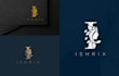 do highly modern minimal and luxury business logo designs