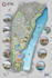 render architecture masterplan, site plan and  landscape plan on photoshop