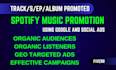 do professional spotify promotion with targeted ads