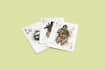 design poker playing cards with a custom card design