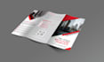 do unique and simple biofold, trifold, brochure, flyer in 24 hours
