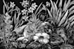 illustrate animal or botanical linocut based on your request
