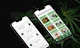 create a cannabis delivery app, marijuana app like weedmaps, eaze