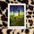 do a three card general reading