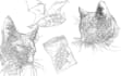 create super artistic hand drawn line art illustrations