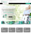 build wordpress website, custom wordpress website, business website development