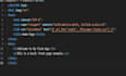 be a professional coder for tailored software projects