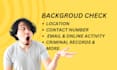provide private detective, background check, osint, and  find someone