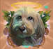 draw your pet full color