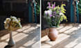 do image upscaling  background editing object edit expert