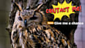 do complete video editing services from raw footage to final cut