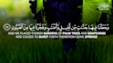create beautiful quran recitation videos with translation