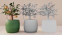 make lowpoly 3d models