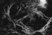 make dark illustration with engraving approach