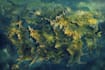 make artistic fantasy map, sci fi map for you