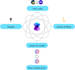 develop custom agents for you using ai semantic kernel
