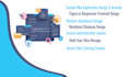 design and develop professional web application software