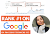 optimize ecommerce website onpage technical SEO service wordpress shopify wix